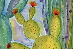 Cactus-Image