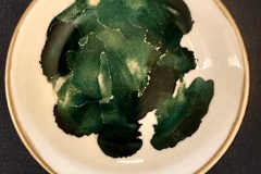 Dish